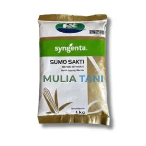 ASLI 100% BENIH JAGUNG SUMO SAKTI NK7328s TERBAIK GRADE A