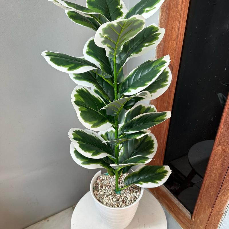 TANAMAN ARTIFICIAL KETAPANG  PUTIH 23DAUN(sudah+pot) 4