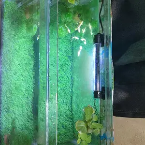 Rumput Sintetis Swiss ukuran 50cm X 30cm / Dekorasi Taman aquarium  / dekorasi taman artifisial. Green Hijau Alami