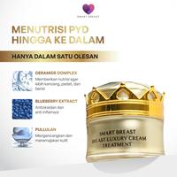 Gambar SB Luxury Cream - Cream Pengencang Sikembar - SB CREAM dari smart care idn Kota Administrasi Jakarta Utara 1 Tokopedia