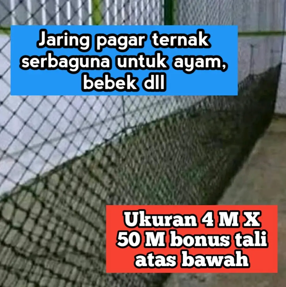 Jaring Pagar Ternak Serbaguna Ukuran 4 M X 50 M bonus tali atas bawah