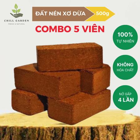 COMBO 5 Viên Nén Xơ Dừa Đất Trồng Cây ươm hạt giống trồng cây trồng rau, Nở gấp 8 lần - TẶNG KÈM CHẬU TRỒNG CÂY