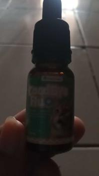 Product Review of Holycatlabs Goodbye Flu 1 Obat 3 Solusi Mengobati Flu Berat, Batuk, dan Demam Kucing 10ml from s**y ** 0