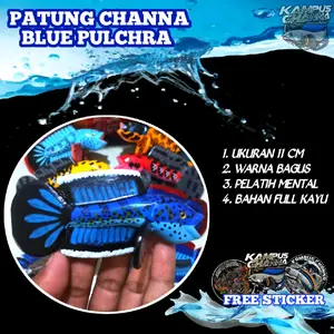 PATUNG CHANNA PULCHRA PREMIUM