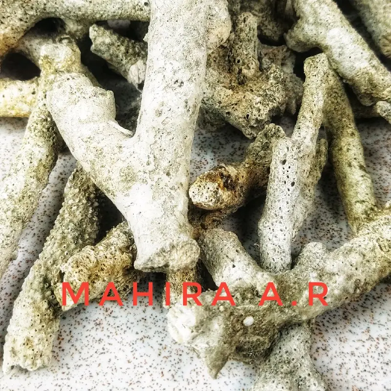 Karang Jahe 500 gram - Filter Akuarium untuk pH Netral dan Alkali 4