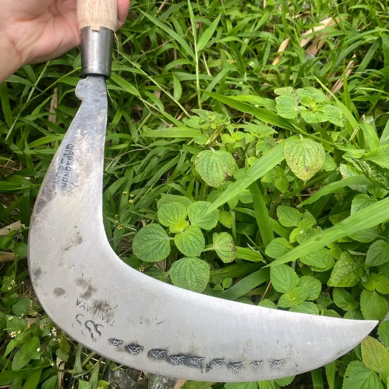 arit sabit rumput baja isen selap super asahan 5