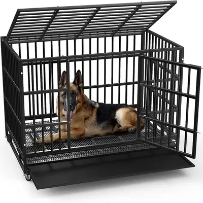 Dog escaping kennel best sale