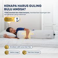 Gambar DDPillow Set Guling / Bolster Hotel Bulu Angsa Asli Type Hampton + Sarung Guling (Perfect Feel) - Guling +1Sarung dari ddpillow Kota Administrasi Jakarta Barat 5 Tokopedia