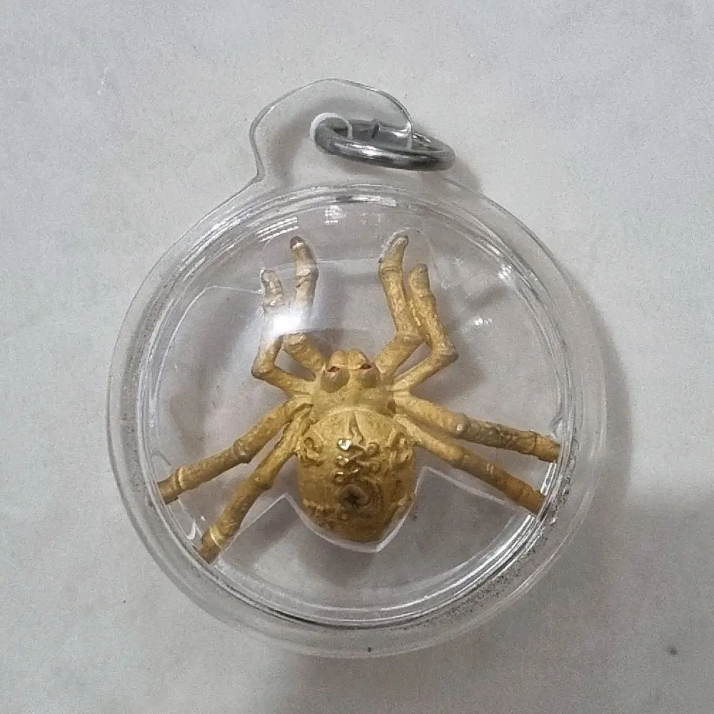 spidy lp key