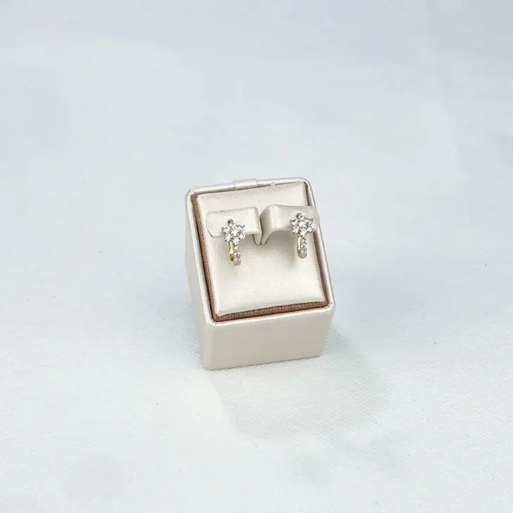 Anting Piny • Anting Jepit • Titanity Jewelry