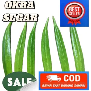 BAHAN INFUS WATER OKRA PANJANG SEGAR FRESH 1KG Sayur Okra Ideal Ukuran Panjang Kualitas Terbaik untuk Infus Water
