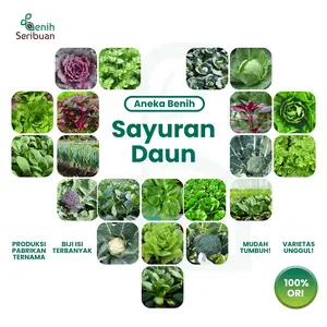 Benih Sayuran Daun All Varian Benih Sayur Unggul Seribuan
