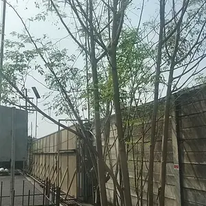 KRODONG SANGKAR LOVEBIRD EKONOMIS MERK AKEN