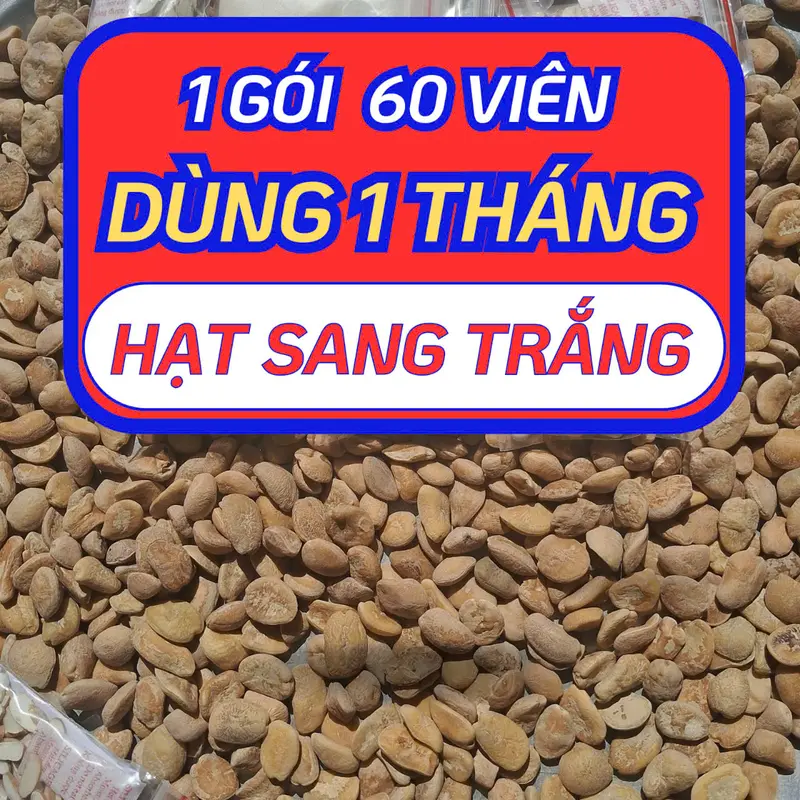 2 Gói V Hạt Sang Trắng Dùng 2 Tháng- Giải Quyết Đại Tràng Co Thắt & Viêm Loét cây nhội giống cây hoa hồng phụng hạt nắp ấm mận phôi trồng nấm kim châm 2