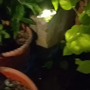 Lampu Tangga Hias Taman Pagar Tenaga Surya Solar Outdoor