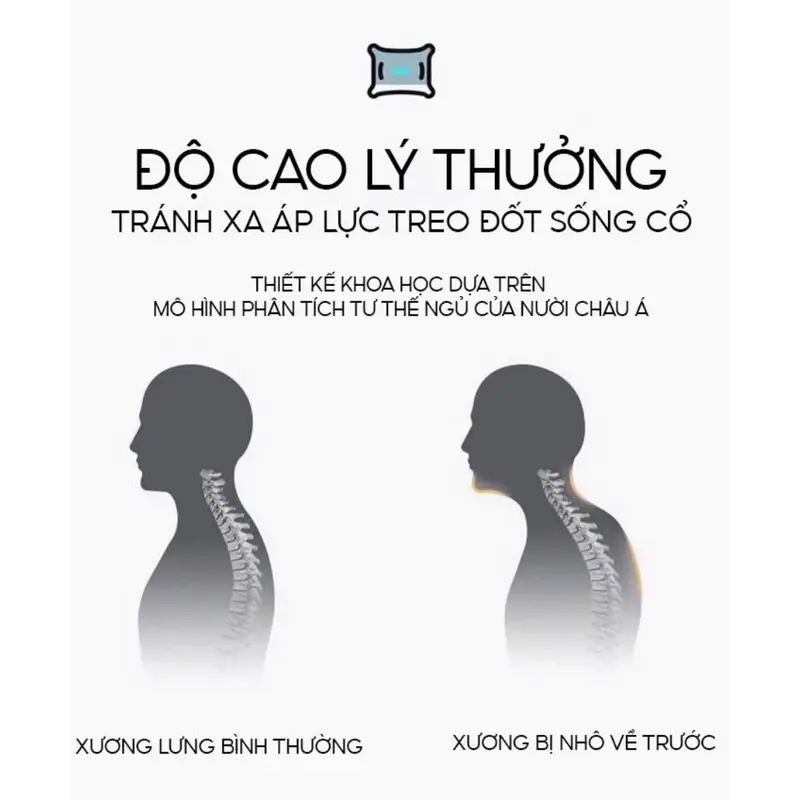 GỐI NGỦ CÔNG THÁI HỌC DỆT KIM, GỐI ÔM 1M1x30 DÀI CĂNG BÔNG TRẮNG 2