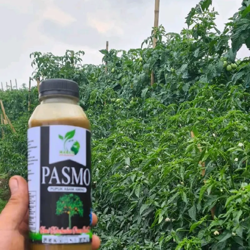 Pasmo Pektor, solusi cerdas untuk petani sukses! 1