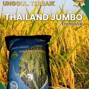 benih padi TERBAIK THAILAND JUMBO Berkualitas 1KG