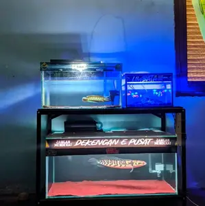 Rak Aquarium P60cm L30cm T60cm Besi Siku Full Triplek 6mm, 2 Susun Ambalan rak serbaguna