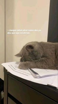 Product Review of Mesin Parutan Kelapa Listrik Stainless from i**G 0