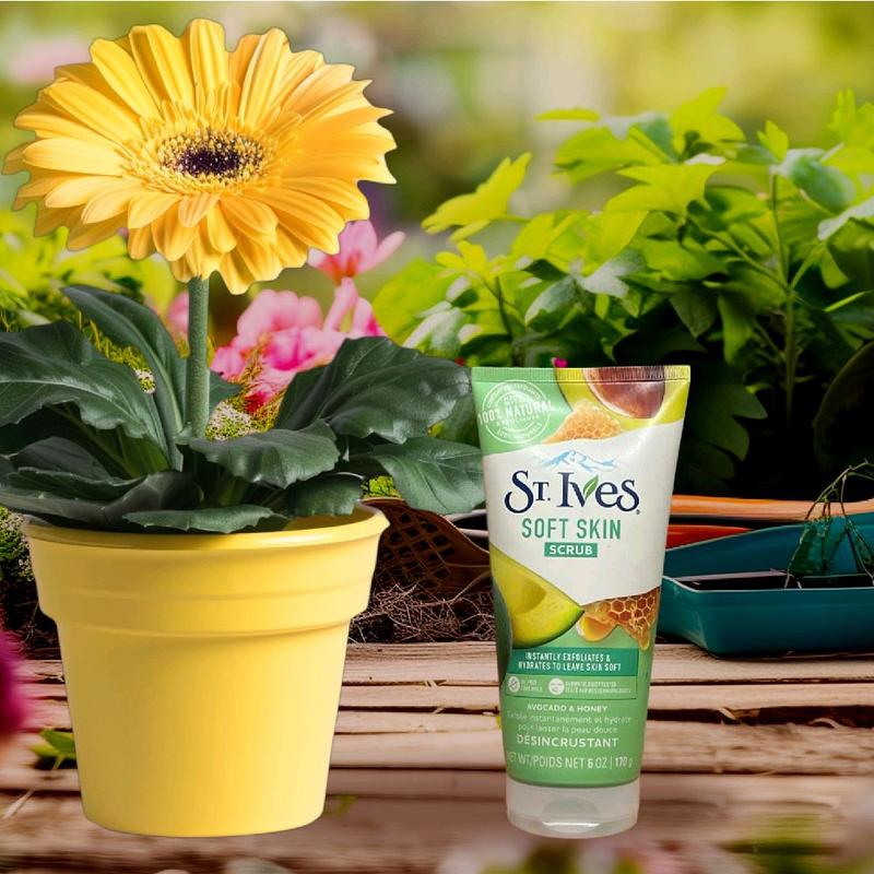 Sữa rửa mặt tẩy tế bào chết st.Ives scrub 170g thành phần thiên nhiên nuôi dưỡng làn da tươi trẻ mỗi ngày 4