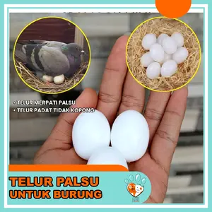 TELUR PALSU IMITASI IMPORT TELUR MERPATI DUMMY MENCEGAH BURUNG STRESS ATAS PECAHNYA TELURNYA EGG MAINAN BURUNG MERPATI TELOR ENDOG AXEL PETSHOP