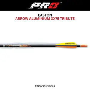ARROW ANAK PANAH ALUMINIUM EASTON TRIBUTE USA BUSUR STANDARD BOW OUTDOOR INDOOR | ARROW ANAK DEWASA | ALAT PANAHAN