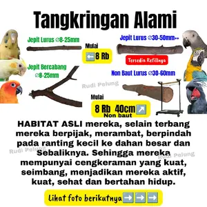 Tangkringan Jepit Alami Plat Jepit Terkunyah Tertelan Aman Kayu Terpilih untuk Burung Parrot Parkit Falk Lovebird Sunconure African Grey Macaw Kayu Pilihan Ukuran Lebih Spesifik