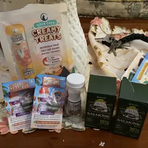 Olive Care Tetes Telinga Kucing Untuk Conge & Ear Mites