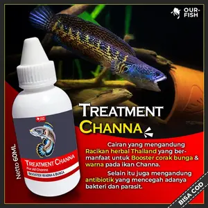TREATMENT CHANNA 60ml - Treatment Ikan Channa  Auranti Andrao Stewarti Limbata Maru Barca Blue Pulchra Asiatica Yellow Sentarum More Color Enhancer Faster Grow Pakan Ikan Channa Bang Fish Aquatic Fajar Arief Pelet Ikan Channa El Barca by Ourfish Store