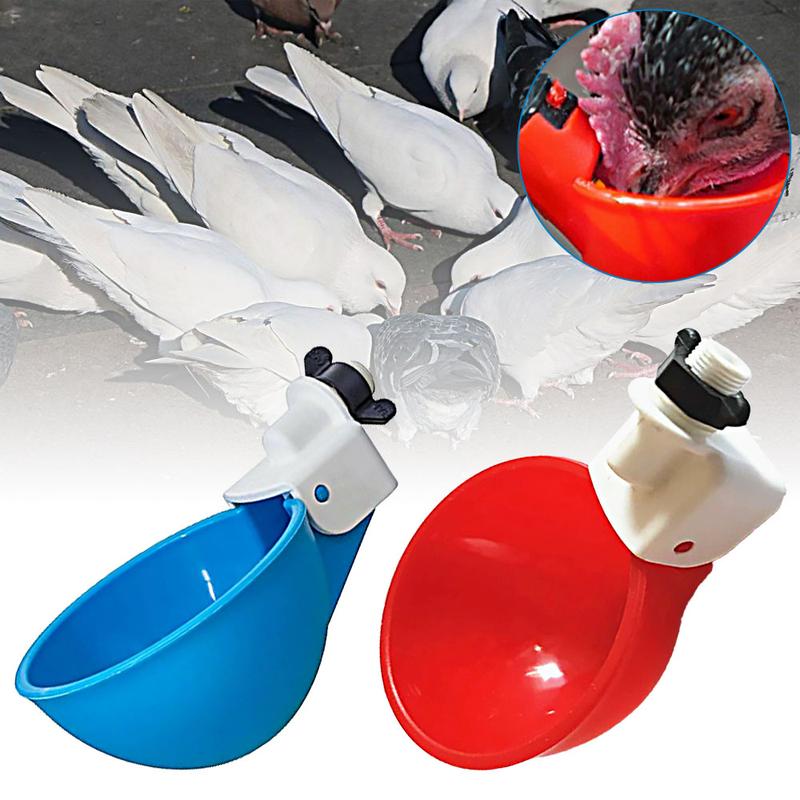 Product Introduction of Automatic Water Cups Poultry Drinker Waterer Chicken Duck Quail Drinking 0