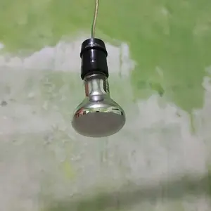 Lampu Spot  / Lampu Penghangat / Makanan & Hewan Ternak SATUAN