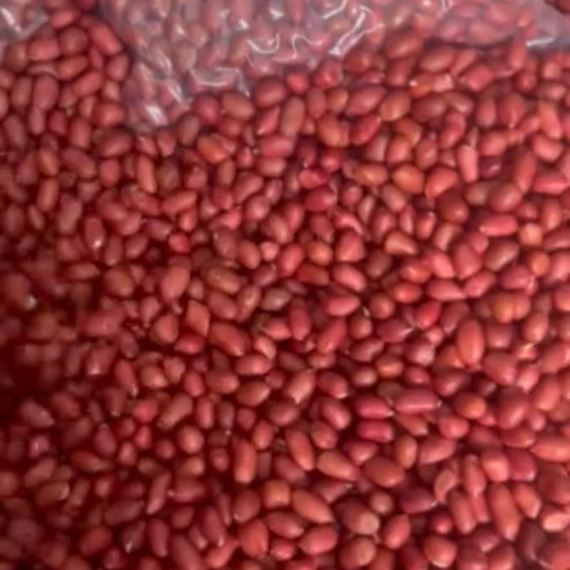 2 kg Lạc Đỏ thơm ngon, béo ngậy