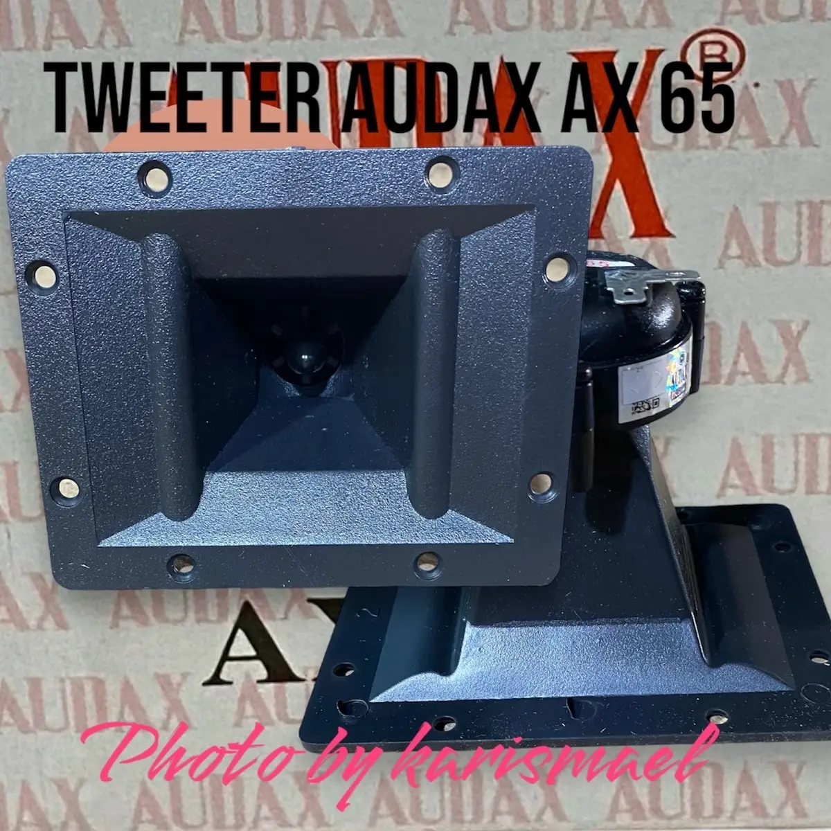 Tweeter Audax AX 65 Tweeter Speaker