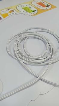 Product Review of แถบไฟนีออน LED DC 220V นีออน 1 ม. 3 ม. 5 ม. 10 ม ยืดหยุ่น กันน้ํา รวมถึงปลั๊ก 5 สีให้เลือก ต่อปลั๊กให้พร้อมใช้งาน from H**e s**p 0