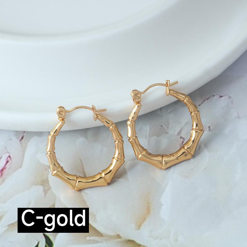 Product Introduction of Stainless steel cross-border fashion temperament all match personality simple geometric bamboo women's  gold earrings 8