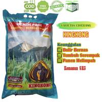 Gambar Benih Padi Unggul Ciherang Kingkong 5kg dari PUROTANI.ID Kab. Purworejo 1 Tokopedia