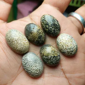 Batu akik anti wisa asli cirebon untuk sedot racun