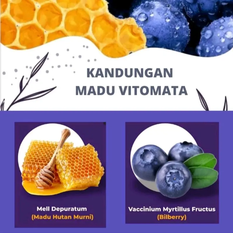 PAKET HEMAT 3 BOTOL MADU VITOMATA @280gr - Membantu Memelihara Kesehatan Mata 2