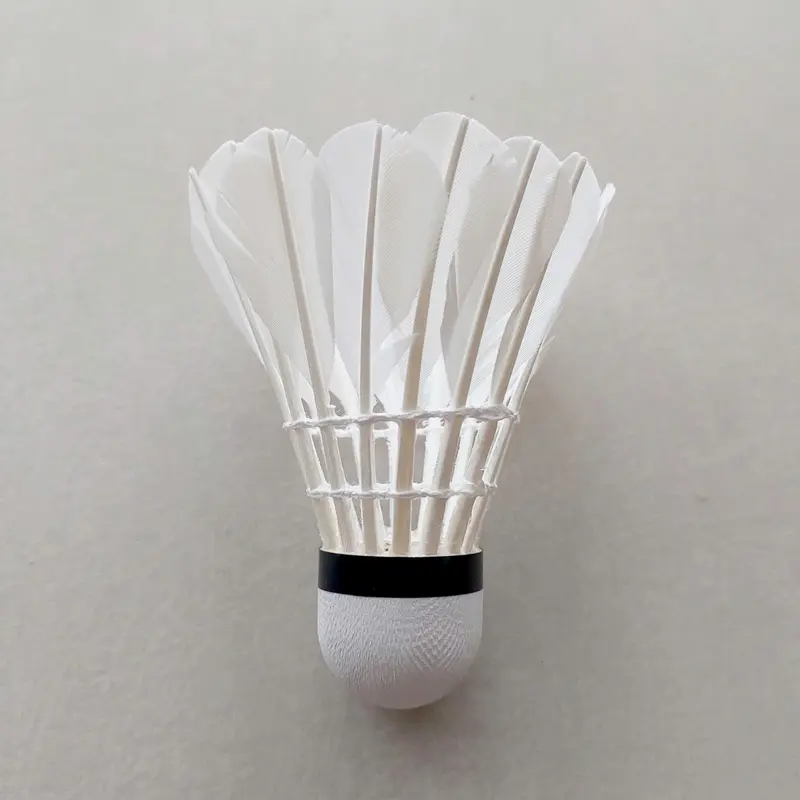 ỐNG CẦU LÔNG EVENT TẬP LUYỆN ( Hộp 12 quả ) - Hàng phân phối chính thức - Vui Store Nam Vợt Cầu Lông Sport 3