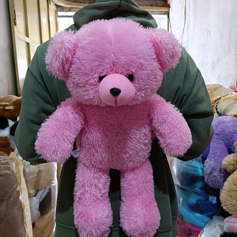 Tas Teddy Bear Ransel Tas boneka Teddybear Beruang anak Lucu 5