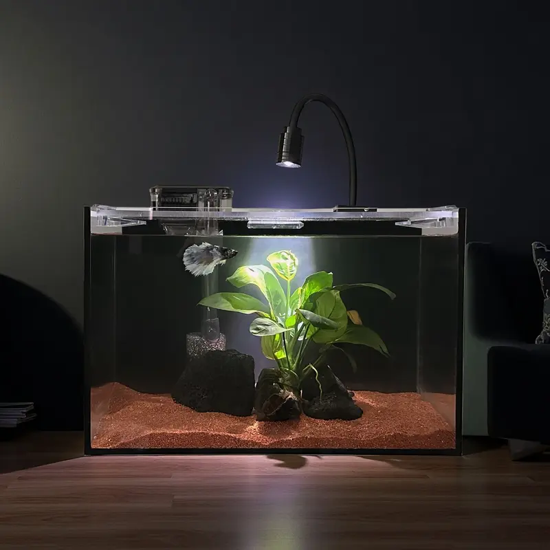 Betta Fish Tank Small Fish Tank 2 Gallon Glass Aquarium Starter Kits ...