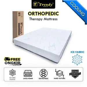 Trendy Orthopedic Bed (Kasur Kesehatan Tulang Belakang/Punggung) Kasur Furniture