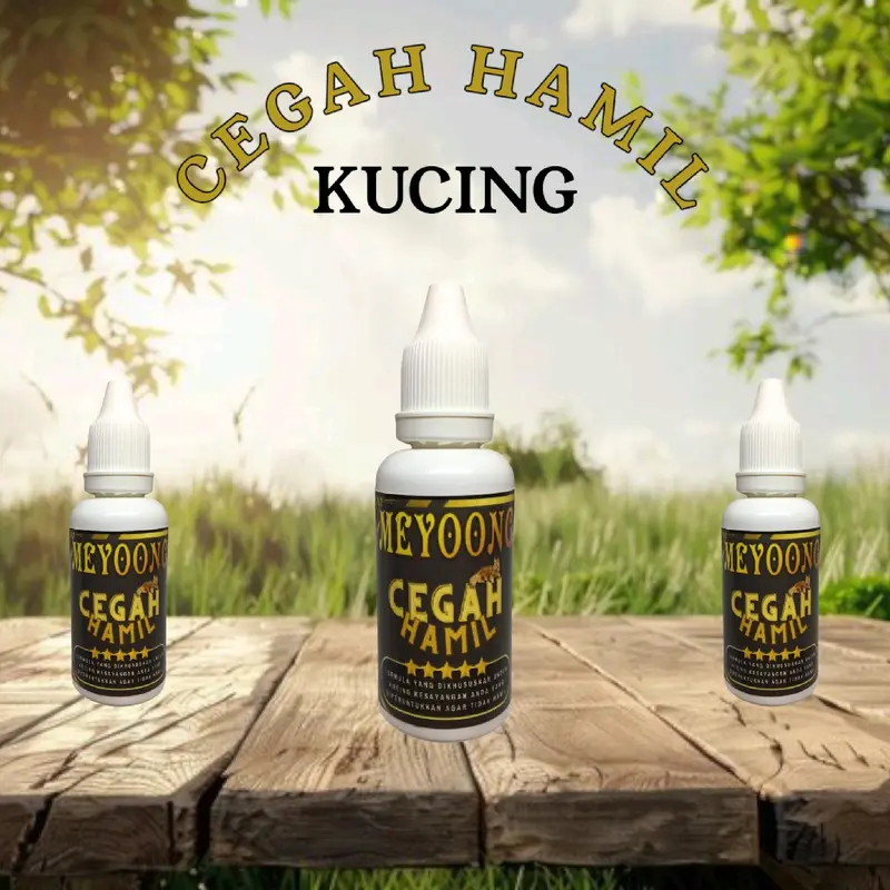 Vitamin Kucing anti hamil mencegah kehamilan Kucing 7