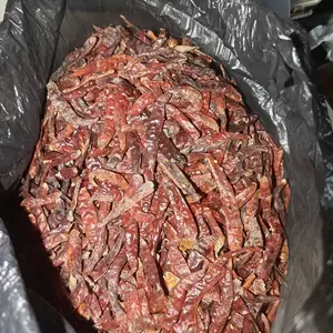promo CABE RAWIT MERAH TEJA KERING "PREMIUM" SUPER PEDAS 1KG Alami Spices
