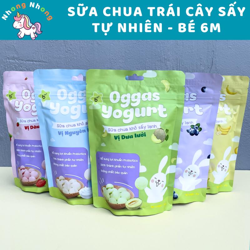 Bánh Sữa Chua Khô Trái Cây Ăn Dặm Oggas Cho Bé  6 Tháng  Ăn Vặt sữa  chua sấy