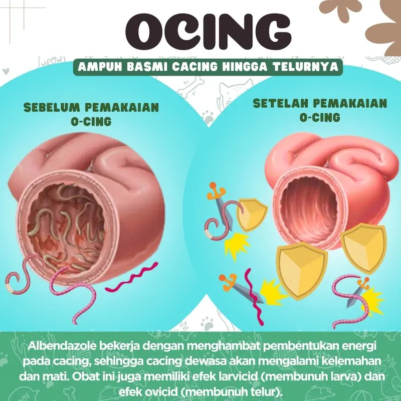 Obat Cacing Royal Care Kucing Anjing dan Anjing 10 ML 4