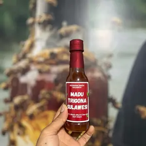 MADU TRIGONA KHAS SULAWESI