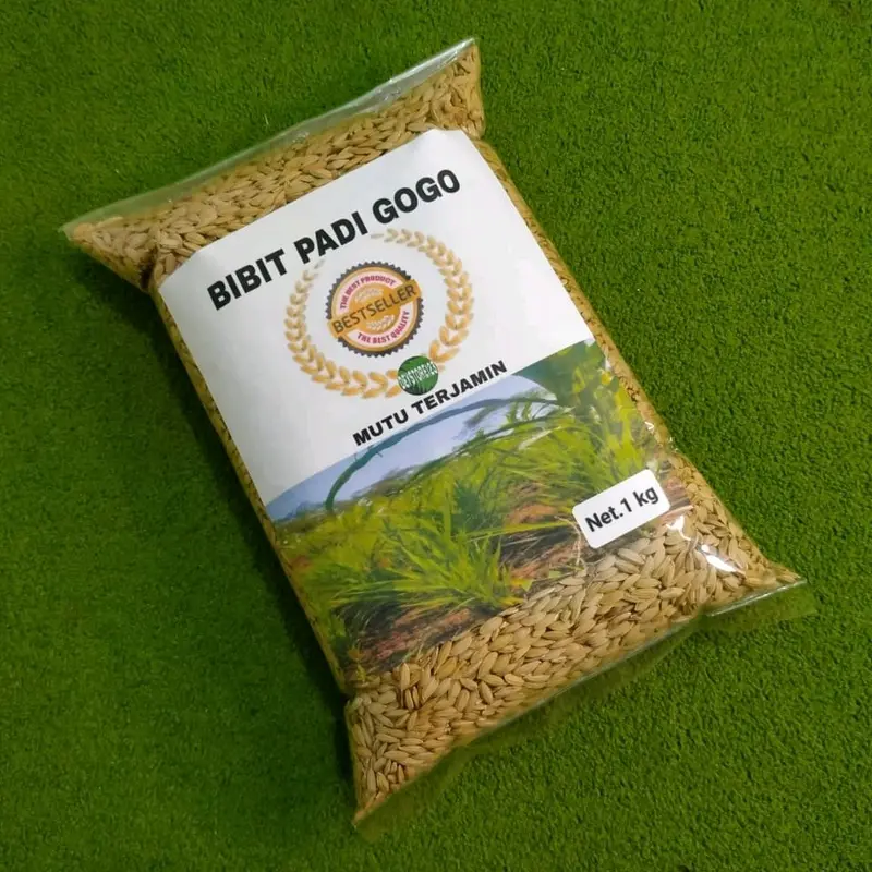Benih padi gogo padi darat super berat 1 kg Tanaman Merah 2