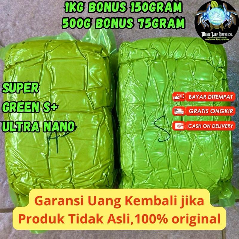 Morintea 1130Gram  premium Magic Leaf Powder 1
